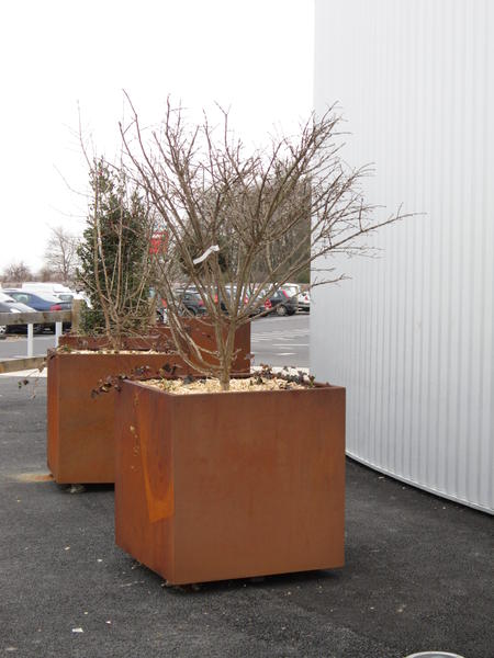 Jardinières Corten